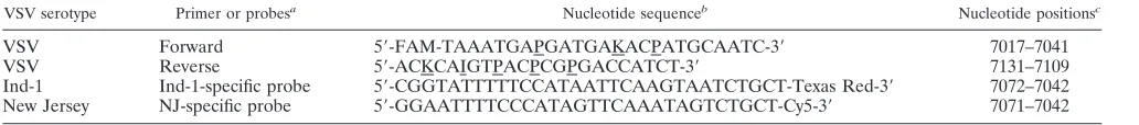 TABLE 1. Oligonucleotide sequences of primers and probes