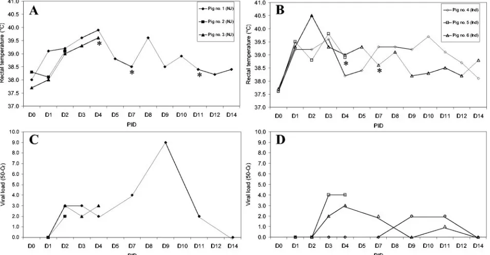 FIG. 4. (A and B) Rectal temperatures of the group of pigs infected with VSV serotype NJ (A) and VSV serotype Ind-1 (B)