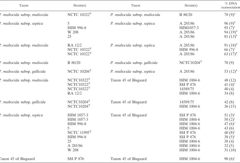 TABLE 3. DNA-DNA hybridization between strains of P. multocida and taxon 45 of Bisgaard in relation to that for sucrose-negative variants