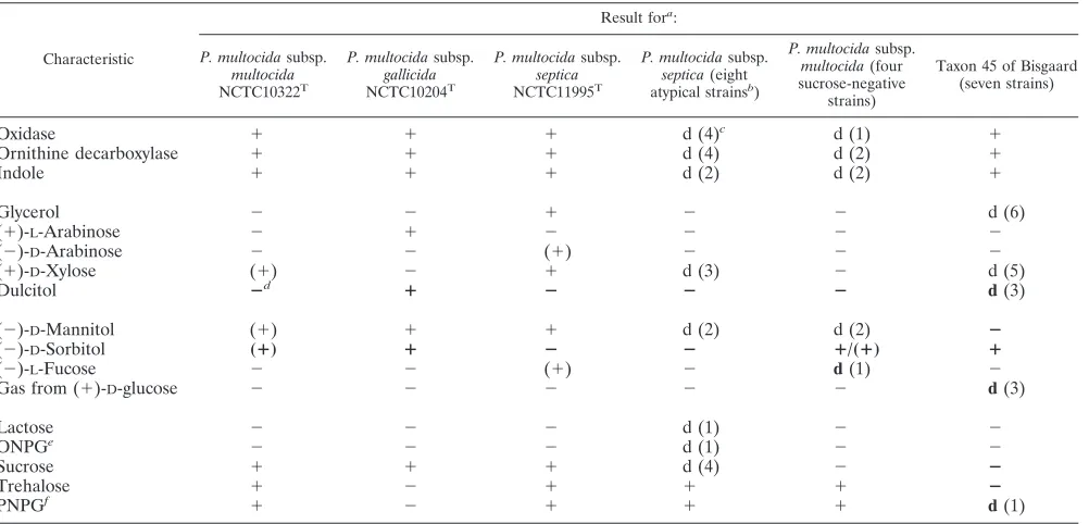 TABLE 2. Variable phenotypic characteristics of P. multocida and taxon 45 of Bisgaard