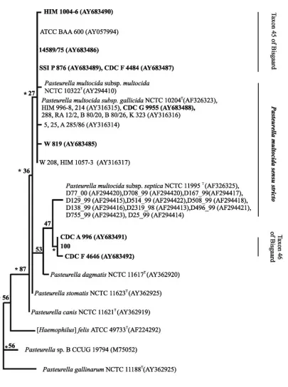 FIG. 2—Continued.
