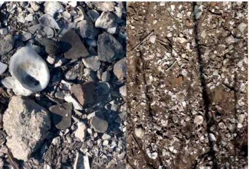 Figure 24 : distributions de matériels archéologiques (à gauche : Nago 8 ; à droite : Meillac,  photo Jean 2015).