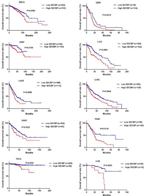 Figure 3: Higher SDCBP expression was associated with poorer overall survival in other types of cancers