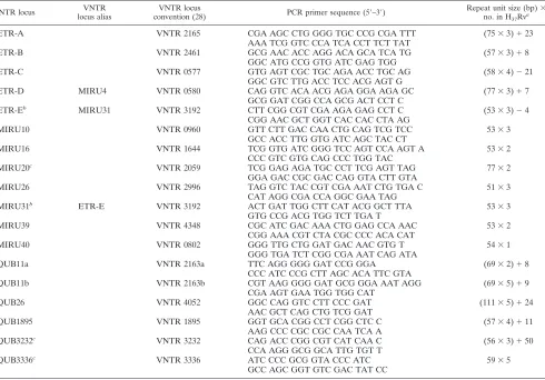 TABLE 1. Primer sequence and repeat unit size in M. tuberculosis H37Rv of the VNTR loci used in this study