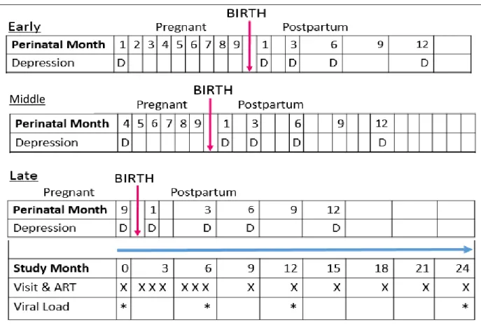 Figure 2. S4 exposure &amp; outcome assessment timeline 