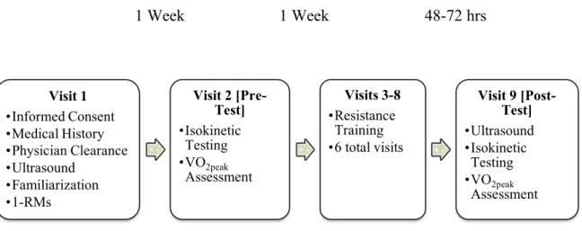 Figure 1. Study Timeline 
