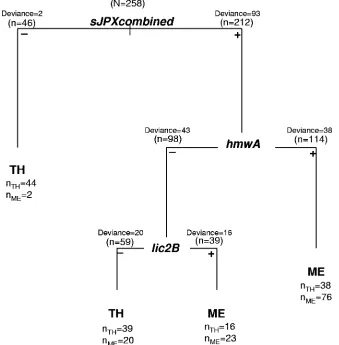 FIG. 3. Classiﬁcation tree for middle ear isolates (ME) versus throat isolates (TH) obtained by using 11 genetic regions: lic2B(sJPX140), sJPX120, sJPX124, and sJPX132 as individual factors and sJPX84, sJPX101, sJPX147, sJPX161, sJPX163, and sJPX176 as the