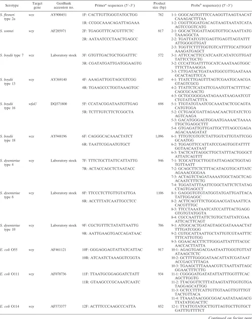 TABLE 3. Multiplex PCR primers and oligonucleotide probes used in the study