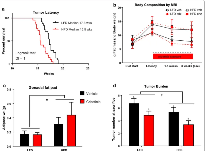 Fig. 1  HFD accelerated tumor latency but reduced tumor burden, while crizotinib treatment blunted tumor burden regardless of diet