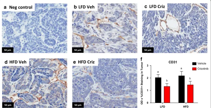 Figure S3A). Mice fed HFD diet gained significantly more  weight than the LFD mice, with greater body weights from  9 to 16 weeks of age (P  < 0.05, Additional file 3: Figure S3B)