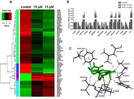 Figure S2B). Furthermore, a strong inhibitory effect of 