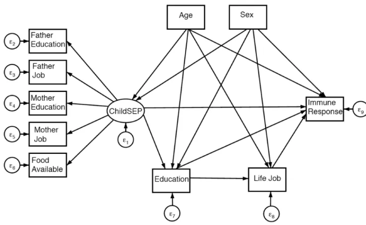 Figure 2. General diagram of SEM for indirect and direct effects of early life SEP on immune  response