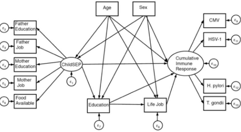 Figure 3. General diagram of SEM for indirect and direct effects of early life SEP on cumulative  immune response