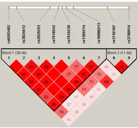 Figure 1. Haplotype block map for all the t SNPs of the 1 includes rs6593482, rs3824612, rs2029253, rs7918542, rs7919239, rs1369214, and rs10900213; Block 2 includes rs3740107 and rs3780914