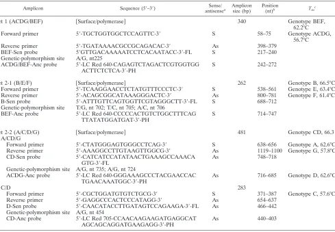 TABLE 1. PCR primers and probes in the amplicons used for HBV quantiﬁcation and genotyping