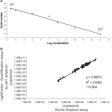 FIG. 2. Quantiﬁcation of the virus by real-time PCR with set 1. (A) Linear regression of the standards ranging from 102determined by using the “second derivative maximum” method
