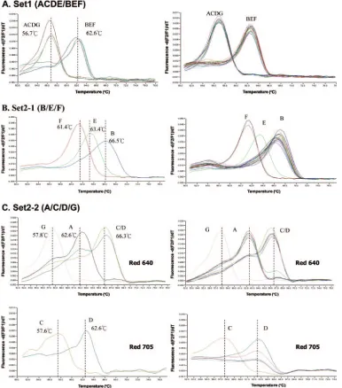 FIG. 3. Representative results for melting curve analysis of clinical samples with genotypes A to G