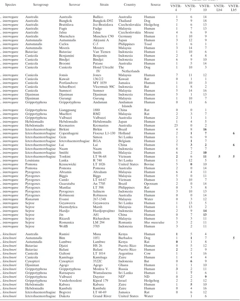 TABLE 2. Results obtained for the 99 collection strains analyzed by the MLVA method