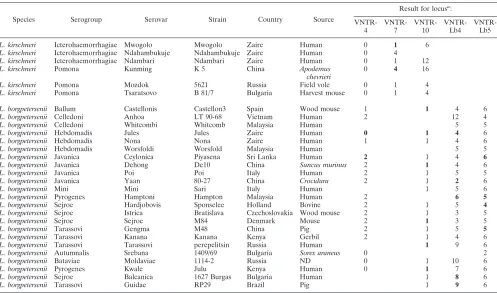 TABLE 3. Characteristics of VNTR loci studied