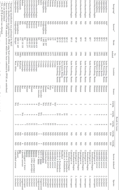 TABLE 4. Clinical strains used for validation of the MLVA method