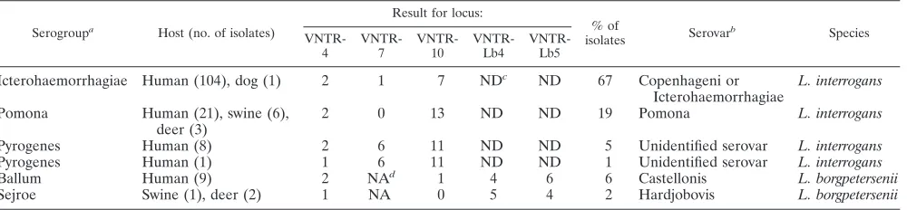 TABLE 5. Results of MLVA performed with Leptospira strains isolated in New Caledonia (1989 to 2001)