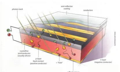 Fig 1. A typical crystalline silicon solar cell 