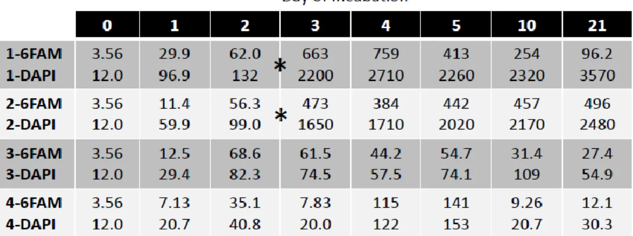 Table  2.    Microbial  cell  counts  show  changes  in  total  microbial  abundance  and  the  corresponding  fraction  of  Marinobacter  spp