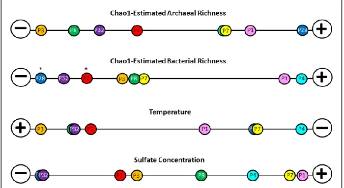 Figure 15.  Normalized archaeal and bacterial diversity, temperature, and porewater sulfate  concentrations for each sample