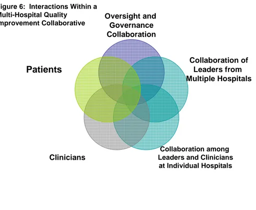 Figure 6:  Interactions Within a  Multi-Hospital Quality 