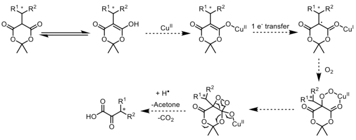 Figure 1-3.  Desired Mechanistic Pathway for Meldrum’s Acids 
