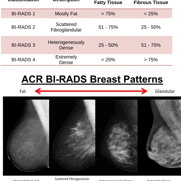 Table 2: BI-RADS breast density classifications.  Data taken from Baker et al. 35