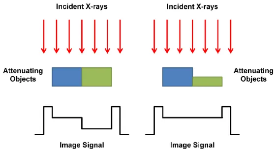 Figure 8: Demonstration of the effect of the attenuation coefficient on the contrast of an image