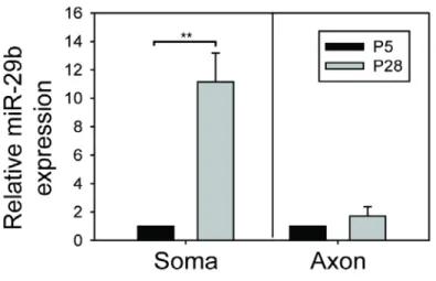 Figure provided by Dr. Vijay Swahari 