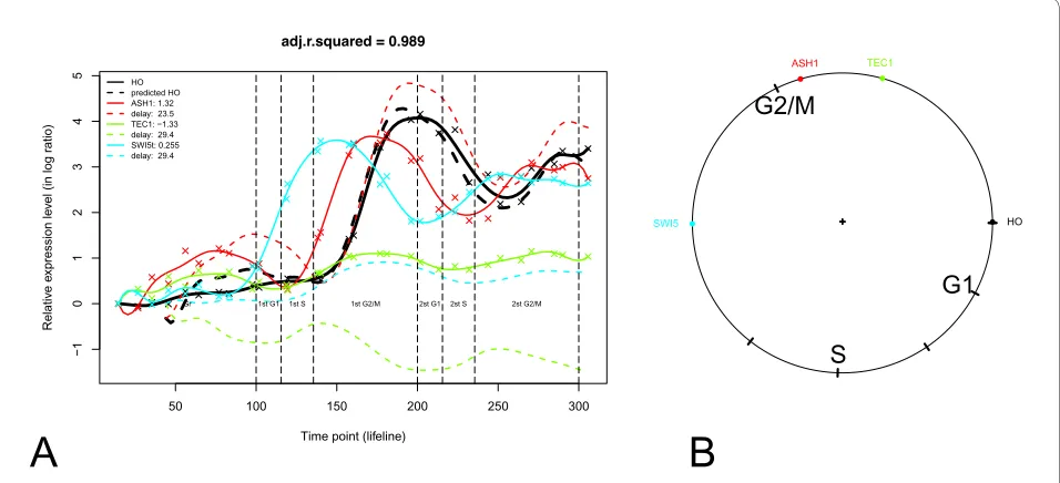Figure 3 Overlap of predicted ORF regulations with YEASTRACT and STRING databases. (A) The overlap of predicted ORF regulations in wild type cells with YEASTRACT and STRING