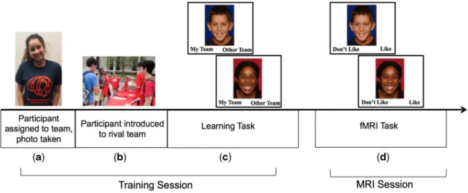 Fig. 1. Group membership task. (a) participant is told they will be part of a competition between two research teams at different universities, is assigned to their team, provided a t-shirt with the team colors and logo, and a photo is taken, (b) participa