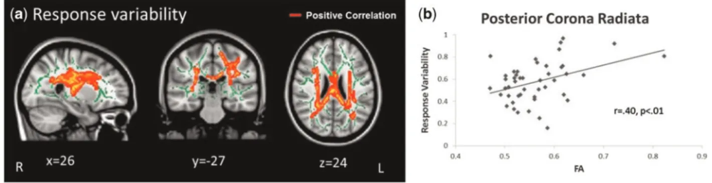 Table 6. Regions of FA and MD that correlated with self-report