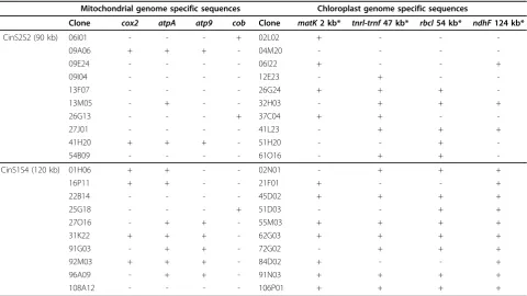 Table 4 Fingerprint analysis of BAC clones containing mt genes