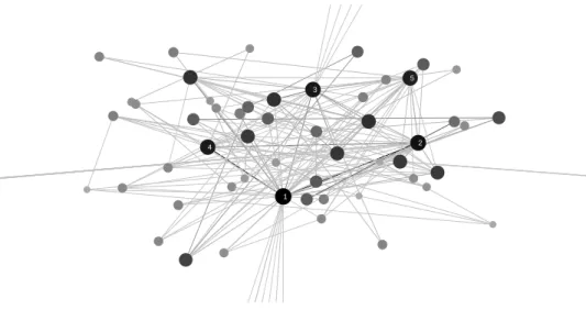 Figure 10: Magnification of the largest community in the 2010 network of network scientists