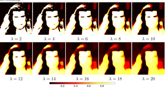 Fig. 13. Intensity-based segmentation results for the Fabio image for the AMF model.