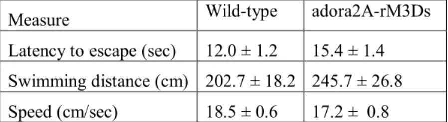 Table 3: Baseline Morris Water Maze:  