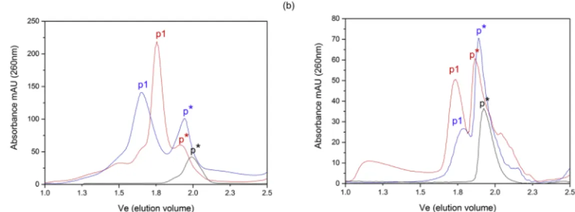 Figure 6.  Dynamic light scattering of PsbS in FC-12. PsbS particle size determined by DLS on PsbS refolded in  FC-12 at pH 7.5 (red) and at pH 5.0 (blue).