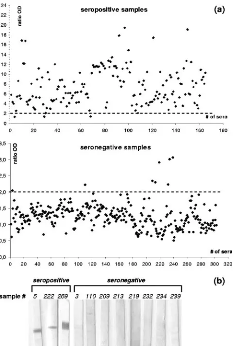 FIG. 4. Detection of ASFV-speciﬁc antibodies from experimentallyinfected pigs using the p30r-based ELISA