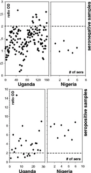 FIG. 5. Analysis of ASFV African serum samples using the p30r-based ELISA. Samples from Eastern (Uganda) and Western (Nigeria)