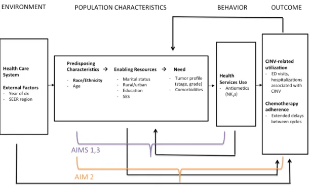 Figure 1. Adapted Andersen Healthcare Utilization Model for NK1 use. 