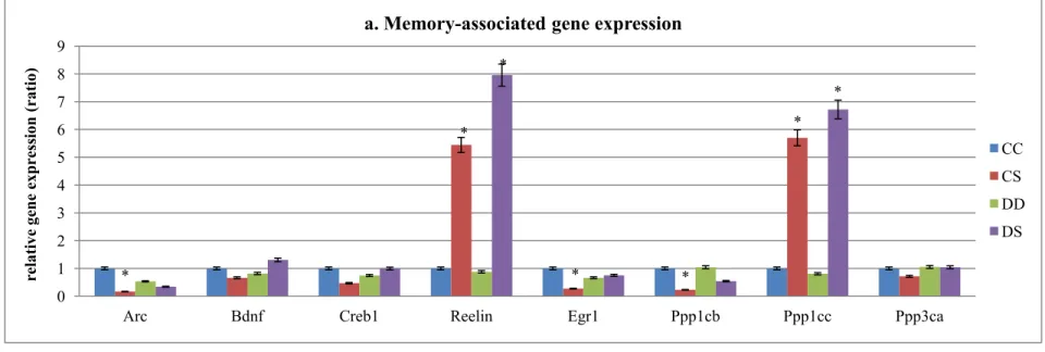 Figure 4. Gene expression assessment 