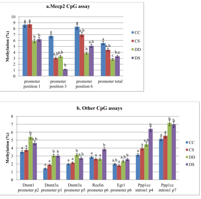 Figure 5.Bisulfite pyrosequencing for the assessment of genes CpG site in promoters or intron1  At  the  end  of  lactation  period,  offspring  were  euthanized,  and  brain  DNA  was  used  for  bisulfite  pyrosequencing  of  gene  promoter  or  intron1