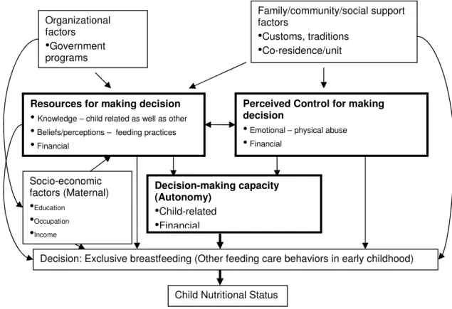 Figure 2 Conceptual Framework linking Maternal autonomy and Feeding Practice 