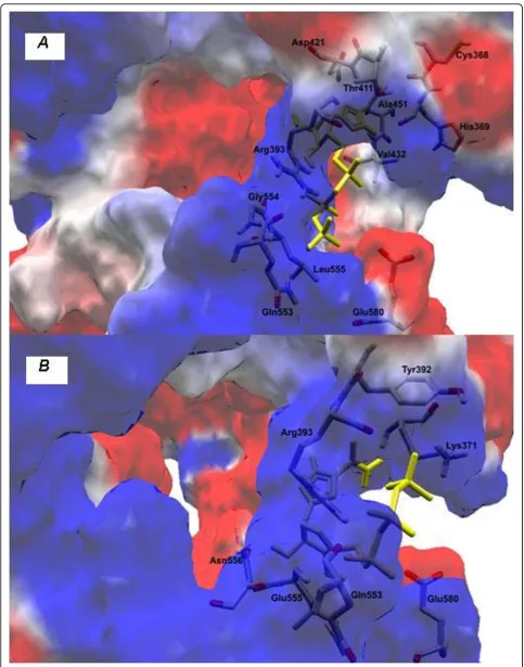 Figure 5 Docking simulations between helicase and Ribavirin substract: (A) patient RF059 and (B) patient RF020.
