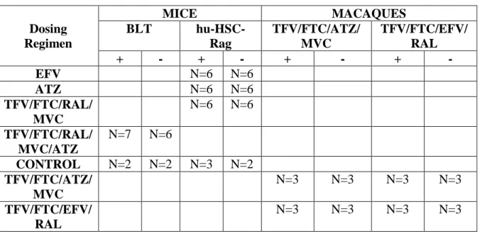 Table 2.1: Sample size and ARV administration schematic 