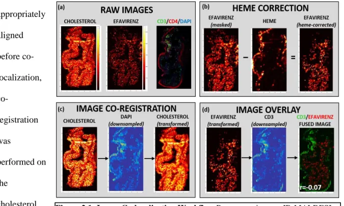Figure 2.1: Image Co-localization Workflow Representative raw IR-MALDESI  and IF (a). Total ARV signal is masked based on corresponding heme distribution  (b)